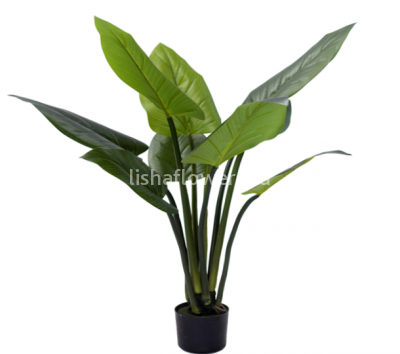 Алоказия 110см 9л. Арт.1309-3J-9L